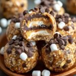 Smores Energy Bites